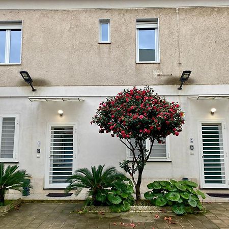 Appartamento Casa Crispino Piano Terra Per 2 Persone Frattaminore Luaran gambar